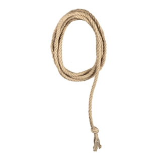 Lasso Reb