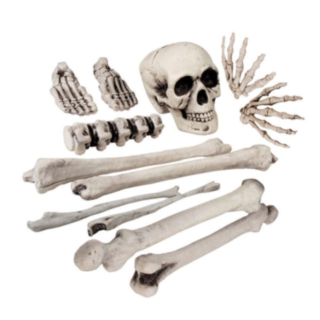 Halloween Skelet