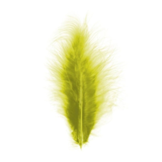 Dekorationsfjer Kiwi 10-15 cm