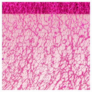 Glitter Bordløber Fuchsia