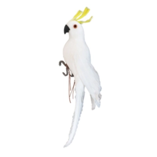 Kakadu Fugl Dekoration Hvid