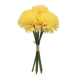 Dahlia Blomster Gul