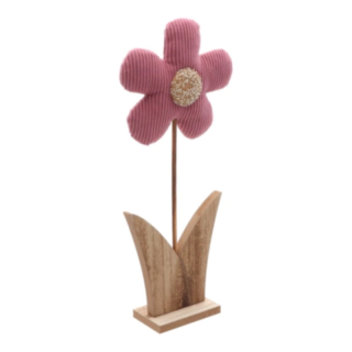 Stående Daisy Blomst Rosa