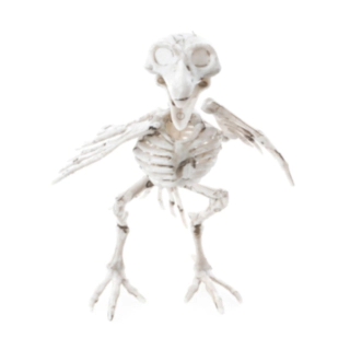Skelet Ravn Hvid