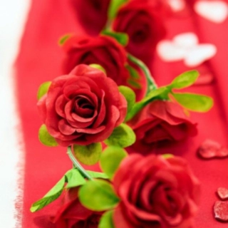 Rose Guirlande