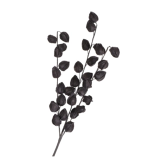 Kunstig Physalis Gren Sort