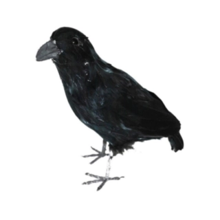 Ravn Dekoration Sort 30 cm