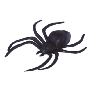Halloween Edderkopper Sort