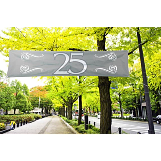 Sølvbryllup Banner