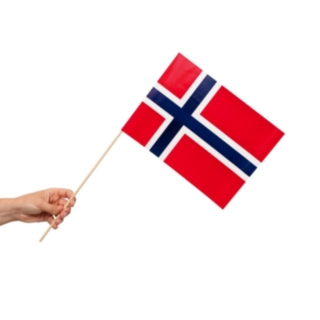 Norge Flag På Pinde