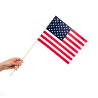 USA Flag På Pinde