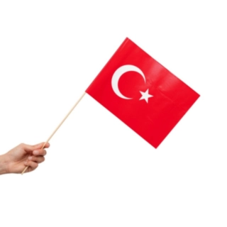 Tyrkiet Flag På Pinde