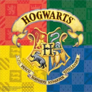 Harry Potter® Hogwarts Servietter