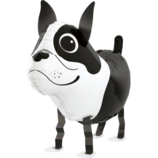 Boston Terrier Folieballon