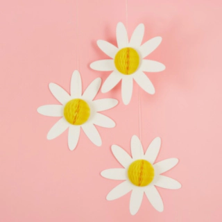 Marguerit Honeycombs