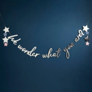We Wonder What You Are Babyshower Guirlande