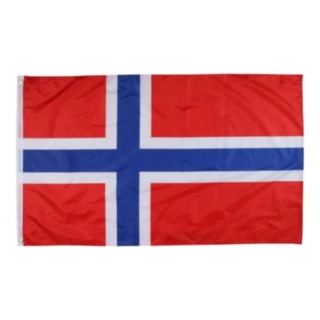 Norsk Flag Stor