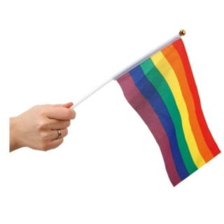 Pride Flag På Pind