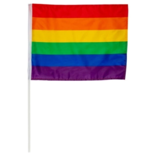 Regnbue Flag På Pind