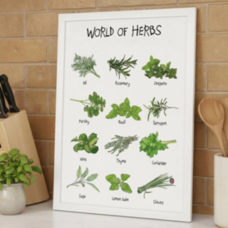 World Of Herbs A4 Plakat