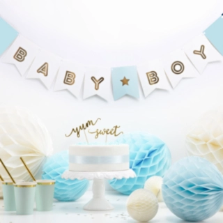 Baby Boy Flagguirlande