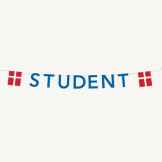 Student Flagguirlande Blå