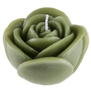 Rose Lys Grøn