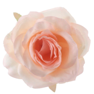 Rose Bordpynt Fersken