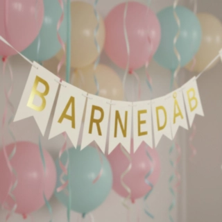 Barnedåb Banner
