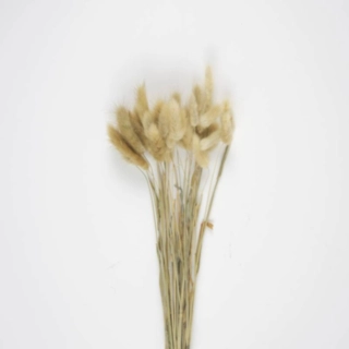 Harehaler Bundt Naturbrun