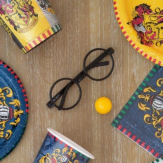Harry Potter® Briller