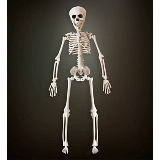 Skeletdekoration