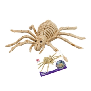 Edderkop Skelet