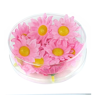 Dekorative Marguerit Blomster Lyserød