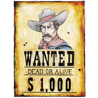 Western Wanted Plakat