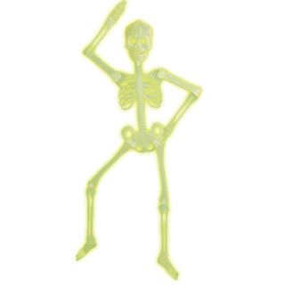 Glow In The Dark Skelet