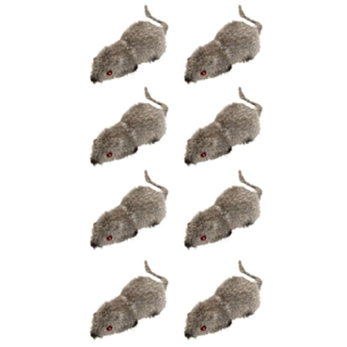 Behårede Mus
