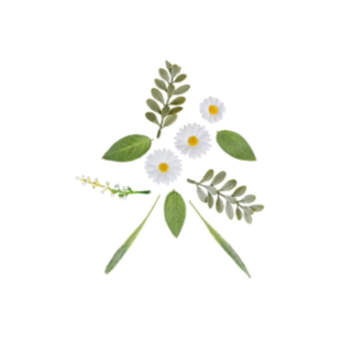 Marguerit Kunstige Blomster Hvid/Gul/Grøn
