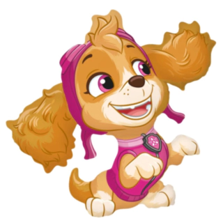 Paw Patrol® Skye Folieballon