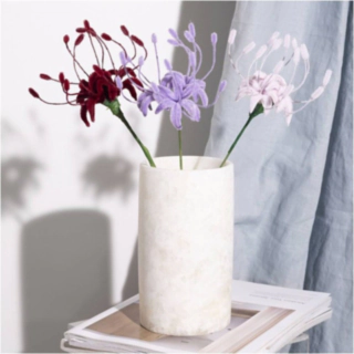 Edderkoppelilje DIY Lyserød/Lilla