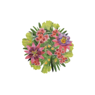 Passionsblomst Dækkeservietter Grøn/Lyserød