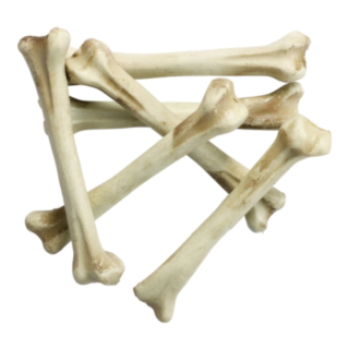 Skelet Knogler Dekoration