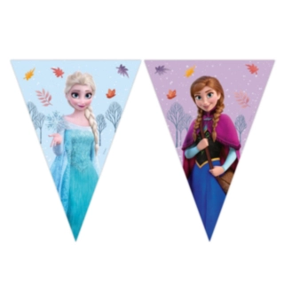 Frozen® Flagbanner