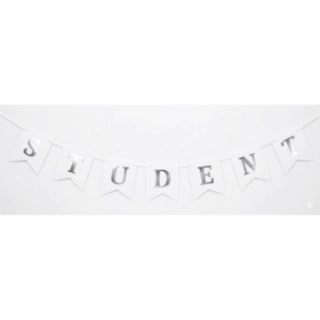 Student Guirlande Sølv