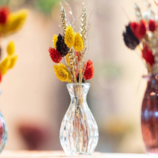 Hydra Vase Transparent