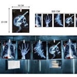 X-Ray Halloween Guirlande