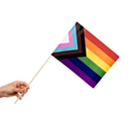 Progress Pride Flag På Pinde