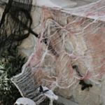 Blodig Halloween Stofbaggrund Hvid