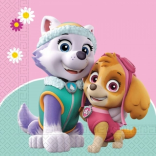 Paw Patrol® Skye & Everest Servietter